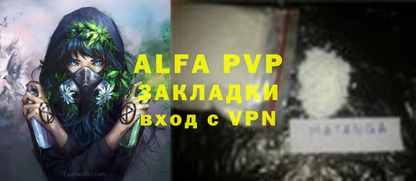 круглые Вяземский