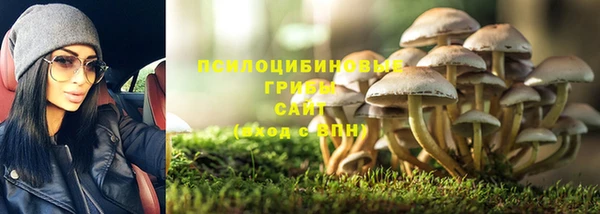 прущий лед Горняк