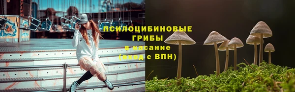 jwh Вязьма